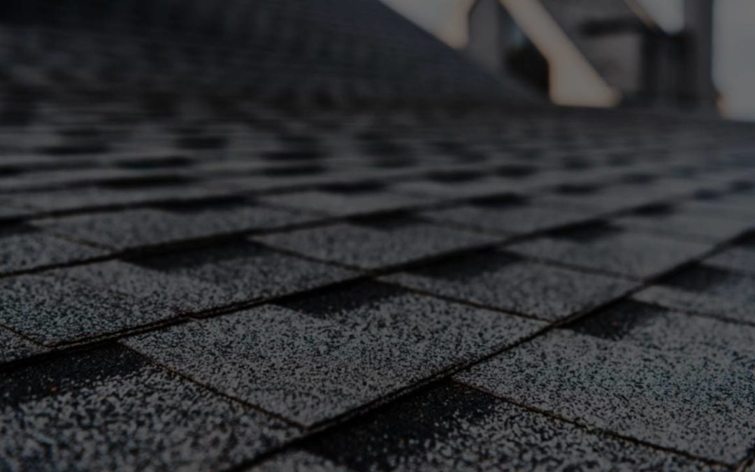 Best Roof Shingles in Florida: Everything You Should Know